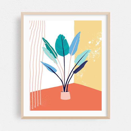 Corner plants
