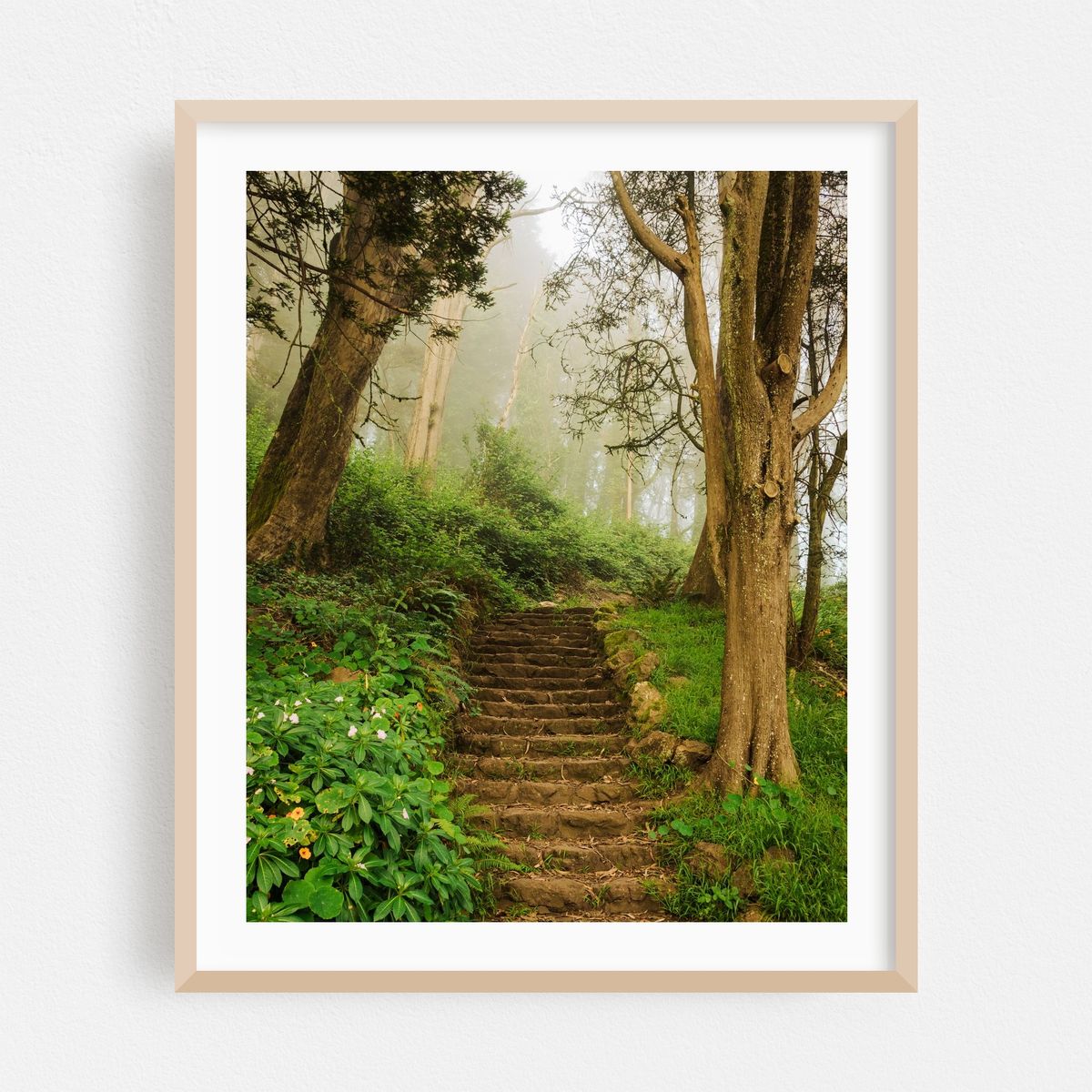 Foggy Trail, Mount Davidson – image 1 of 12