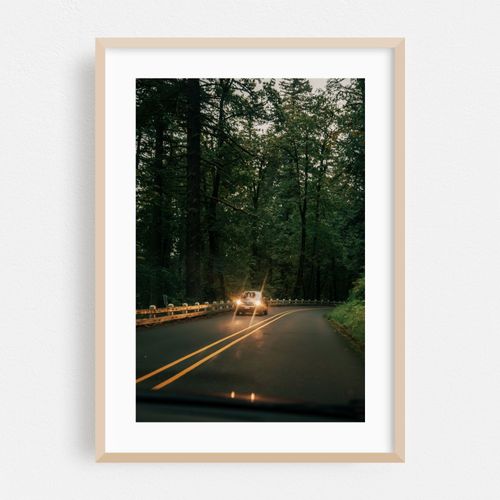 Headlights in the Forest