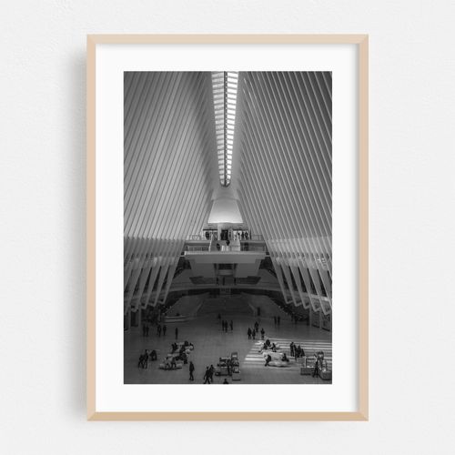 Oculus 11 B&W