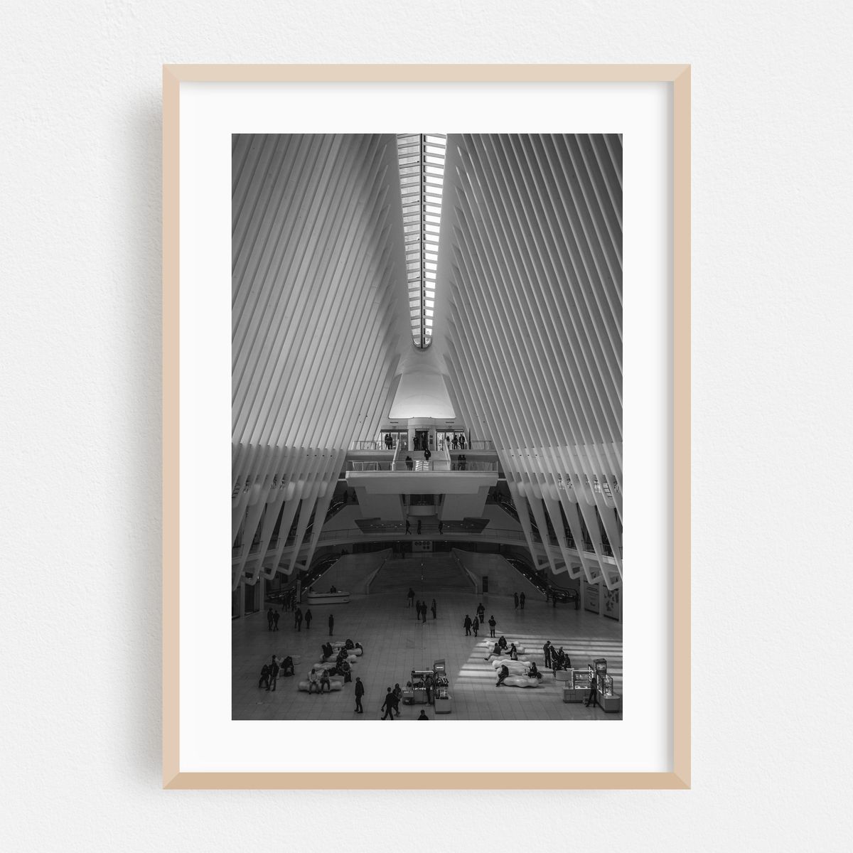 Oculus 11 B&W – image 1 of 16