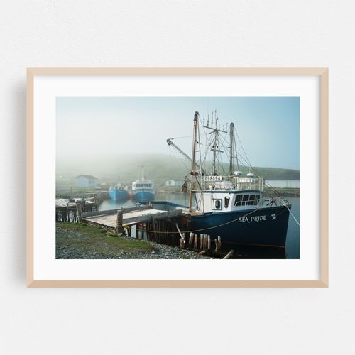 Boats in Ferryland