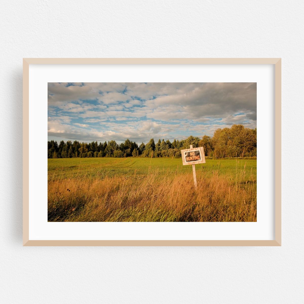 No Hunting, Brownington – image 1 of 6
