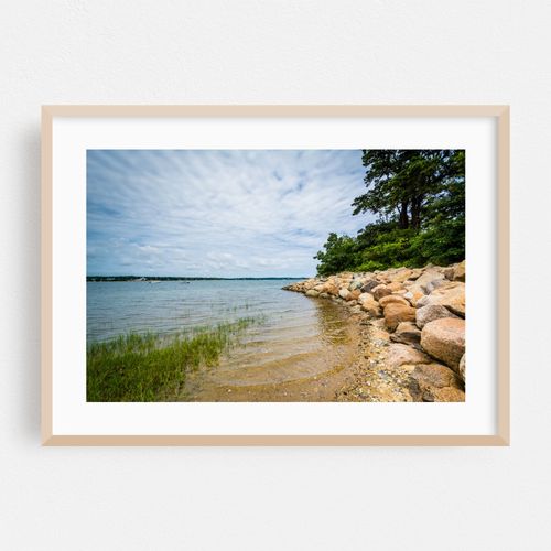 Rocky, Chatham, Cape Cod