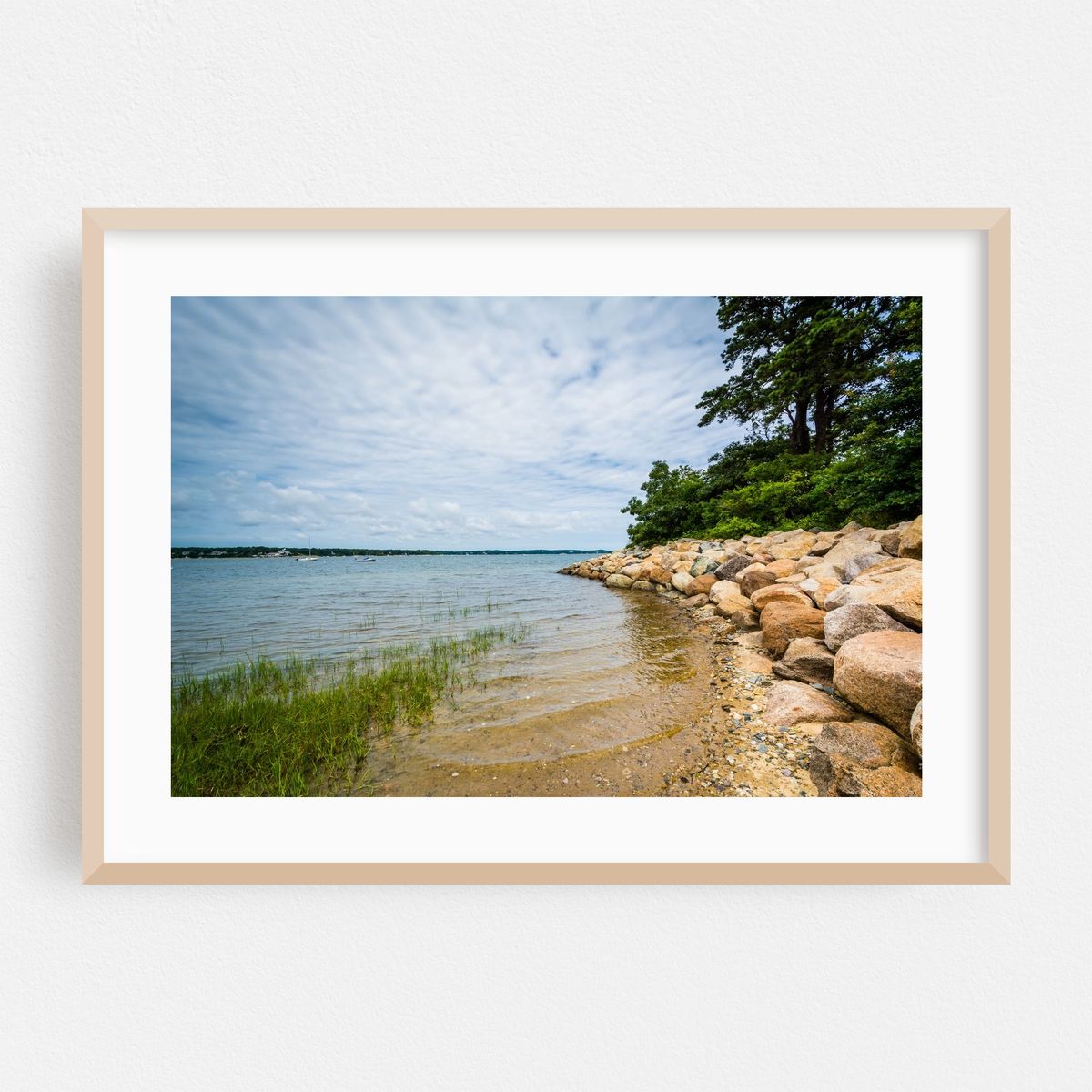 Rocky, Chatham, Cape Cod – image 1 of 6