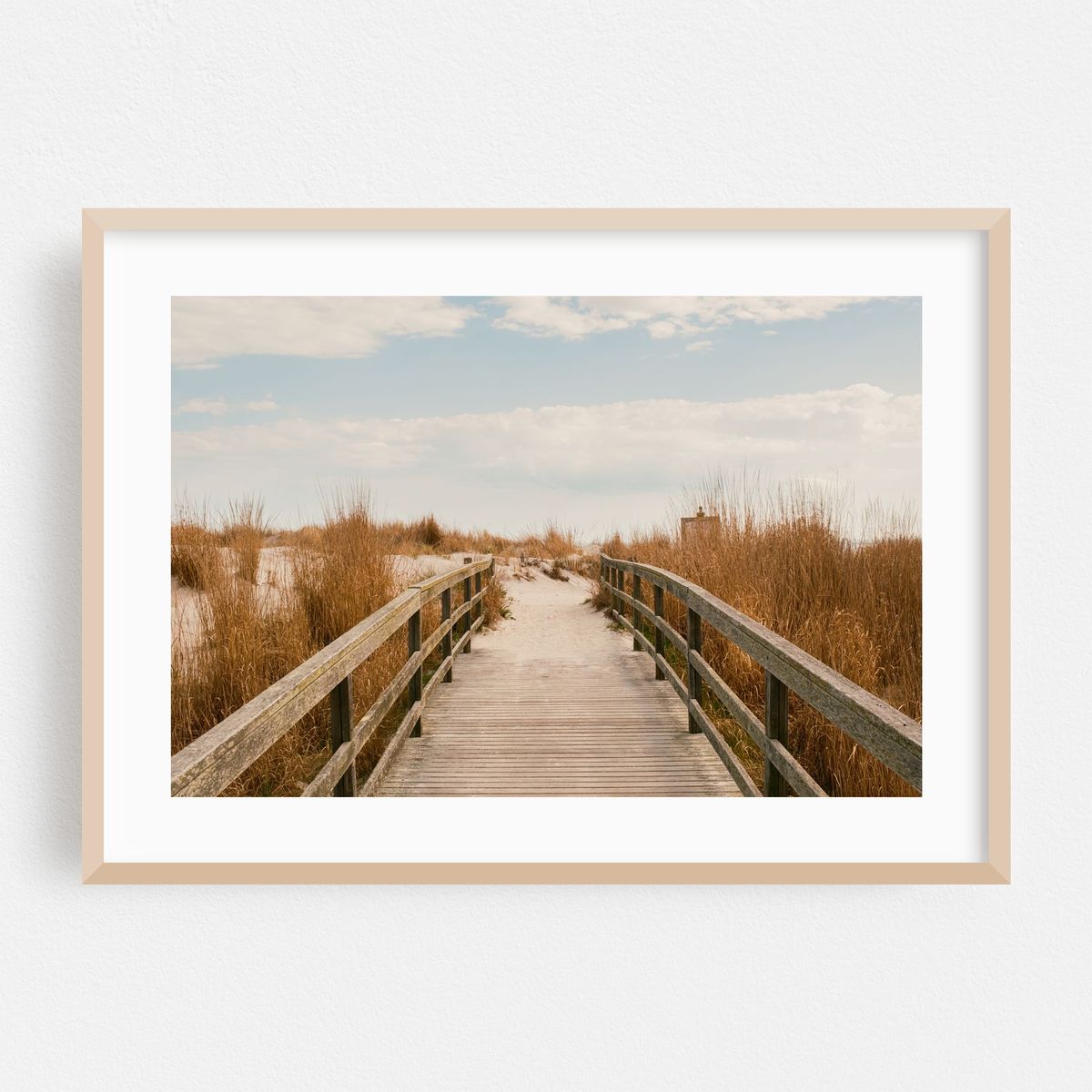 Dune Path, Atlantic City – image 1 of 6
