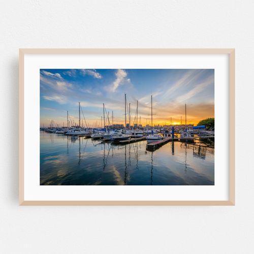 The Marina
