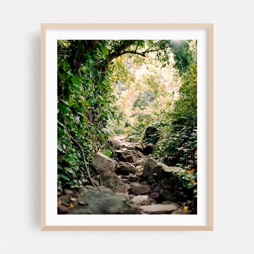 Kalalau Stairs