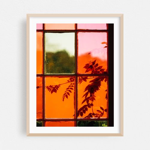 Botanical Abstract