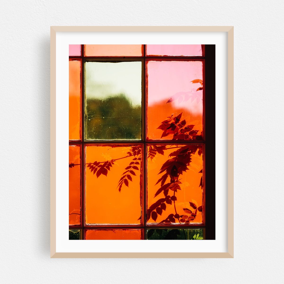Botanical Abstract – image 1 of 3