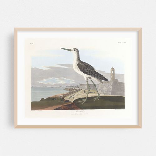 Greenshank (1827–1838)