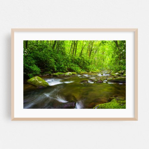 Oconaluftee River Cascades 01