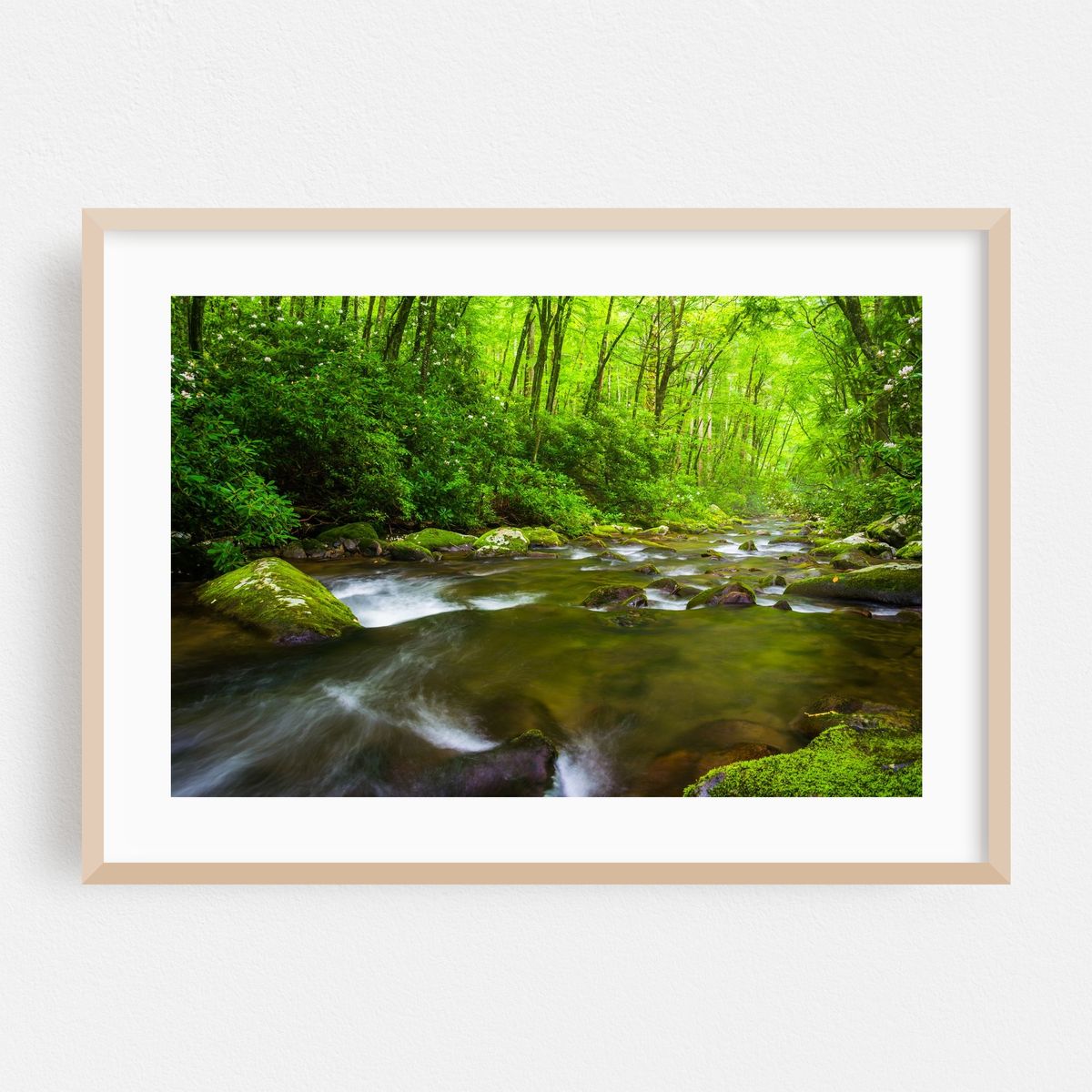 Oconaluftee River Cascades 01 – image 1 of 6