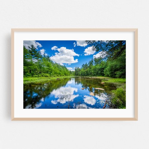 Bear Brook Reflections No. 2