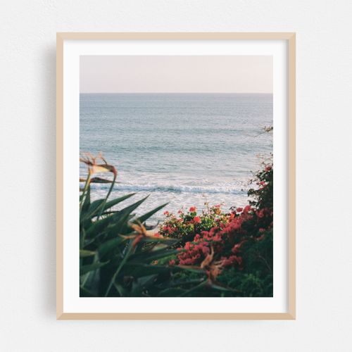 Floral San Clemente 01