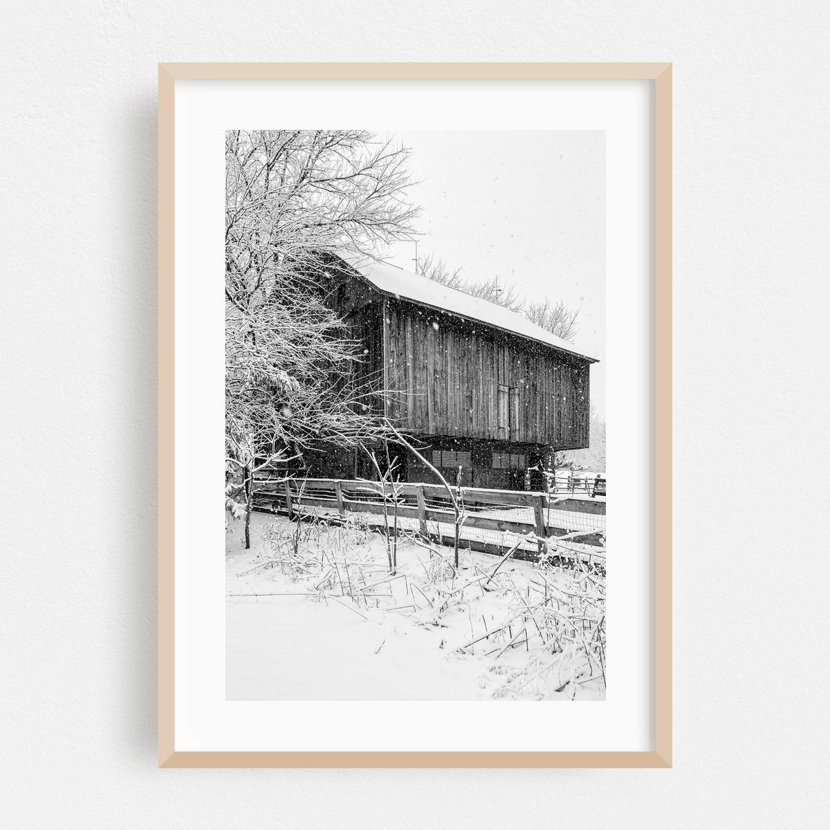 Barn, Glen Rock B&W – image 1 of 16
