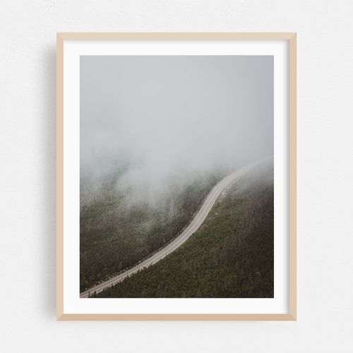 Whiteface in Fog
