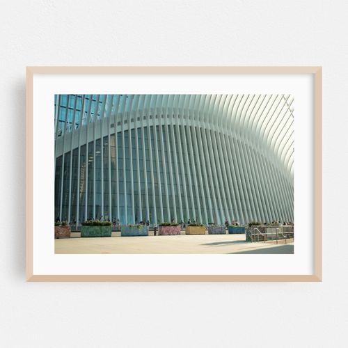 The Oculus, New York City 01