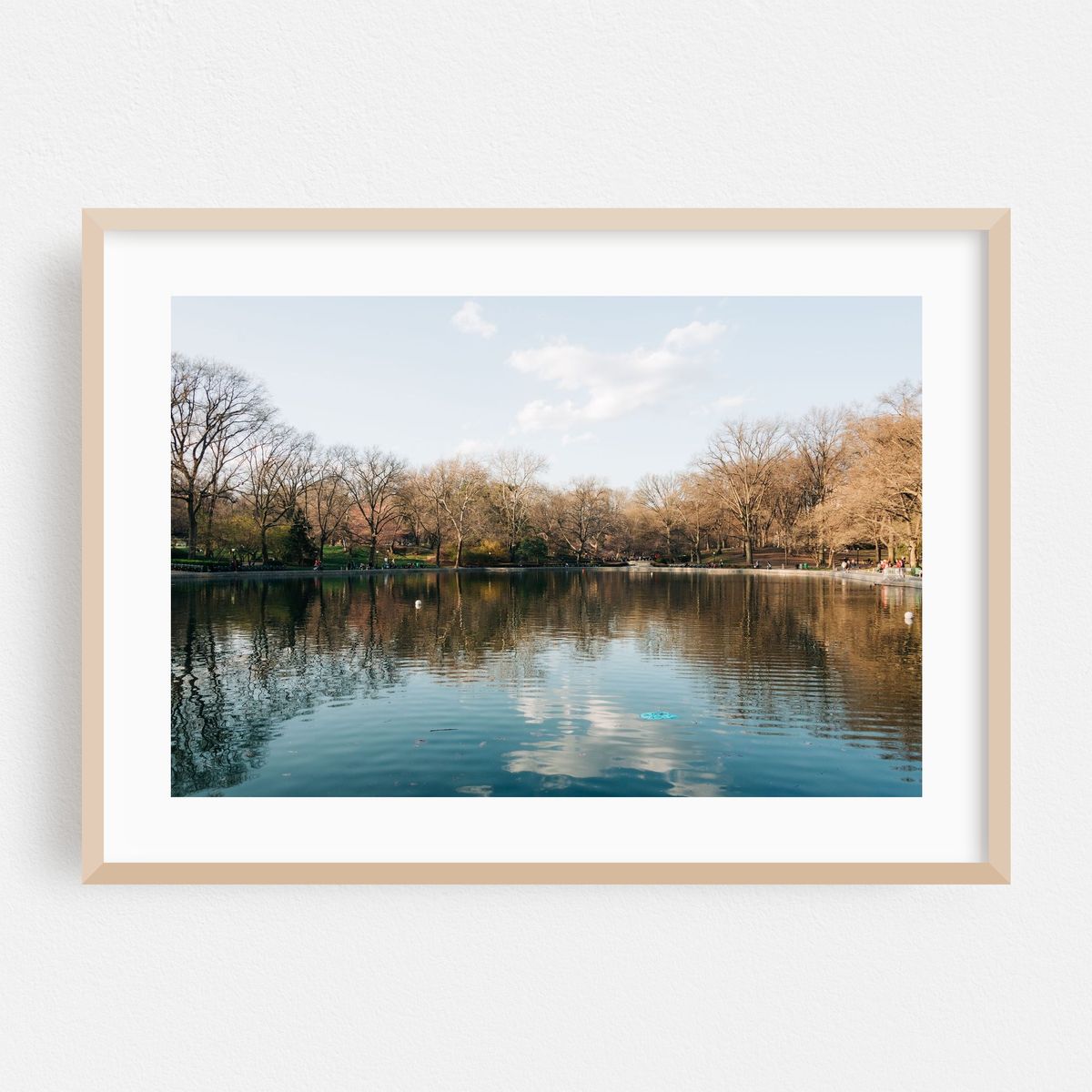 Early Spring, Conservatory Water – image 1 of 6