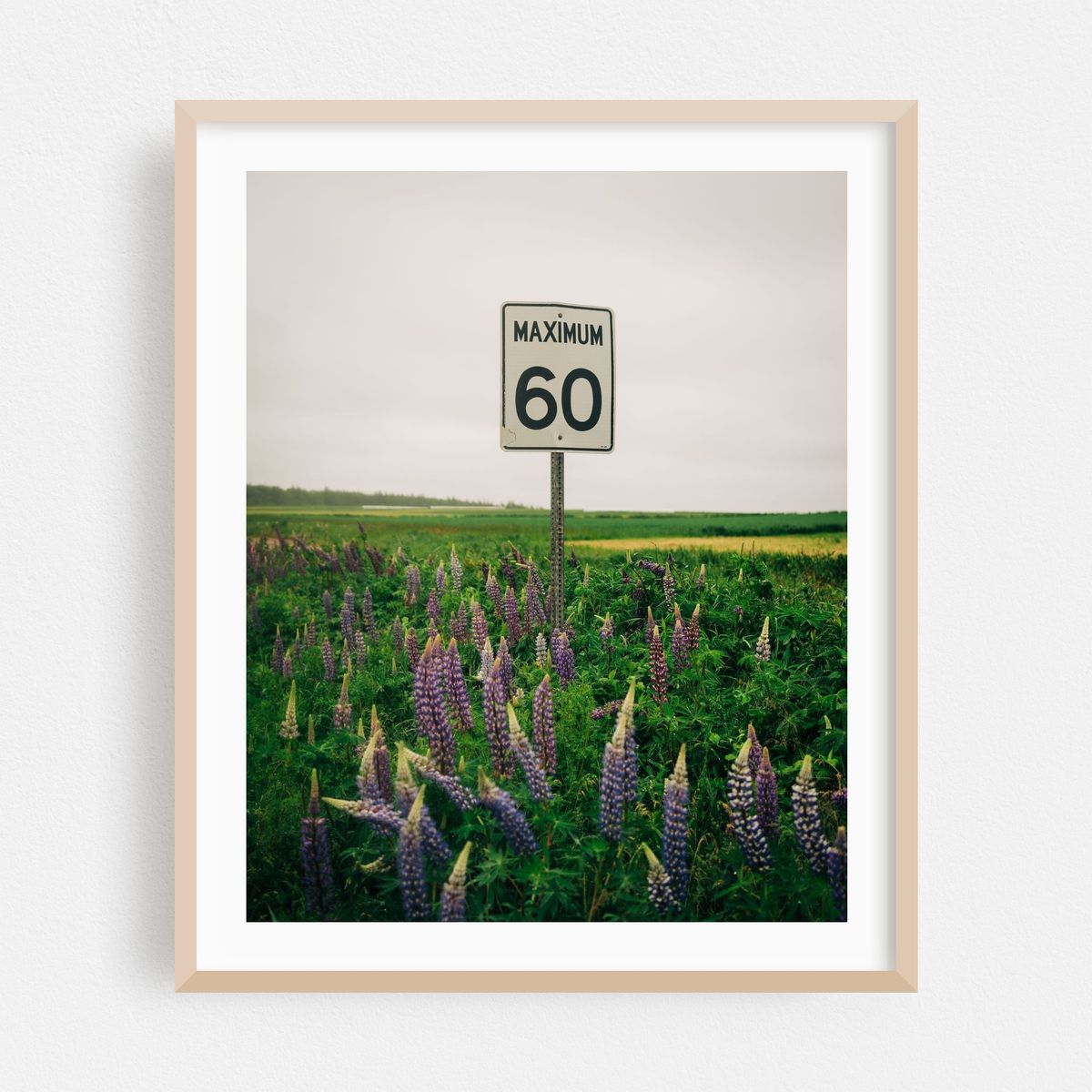 60 Max – image 1 of 12