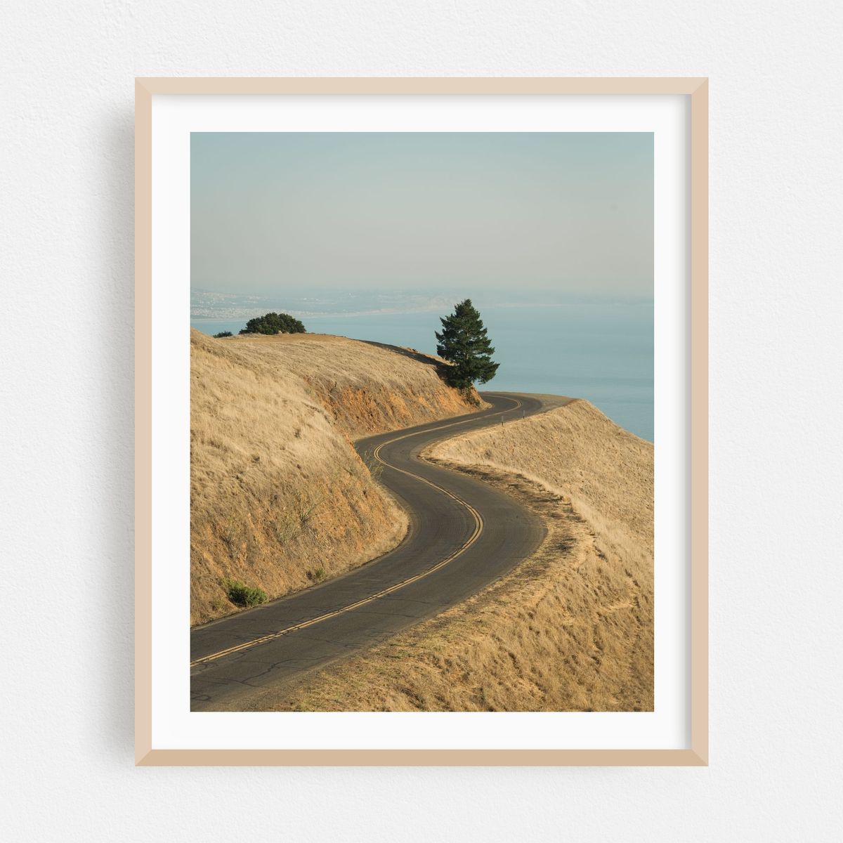 Mount Tamalpais Road 02 – image 1 of 12