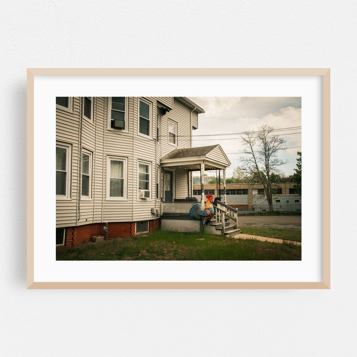 Rooster, Easthampton – image 1 of 6