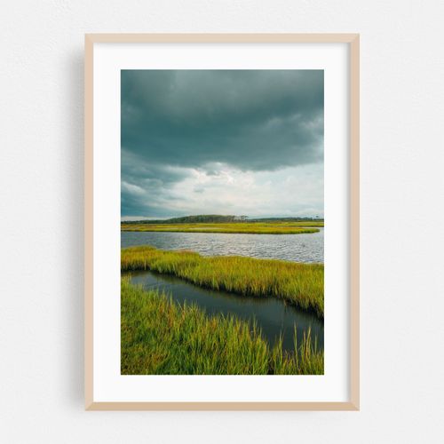 Assateague Island Marsh 01
