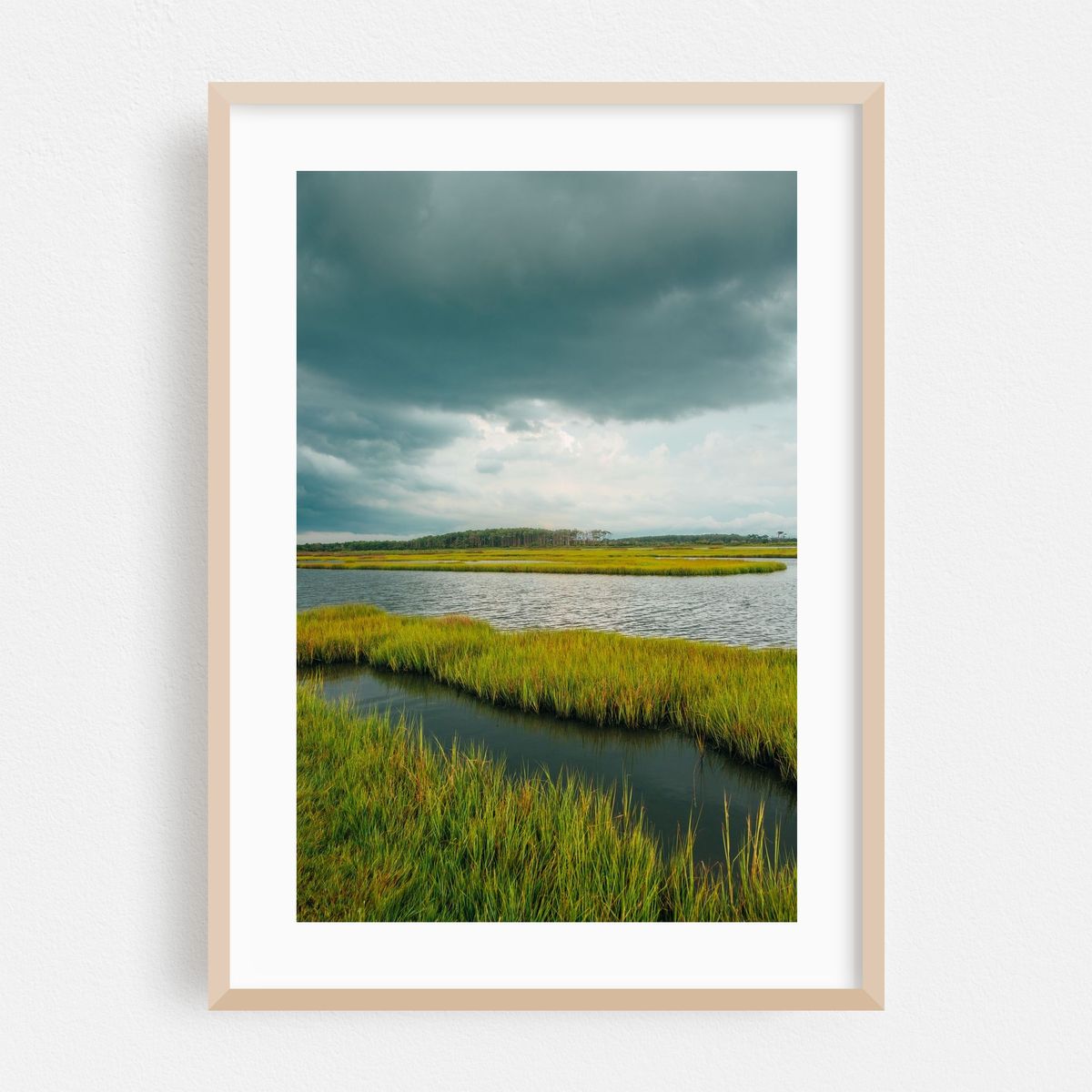 Assateague Island Marsh 01 – image 1 of 16