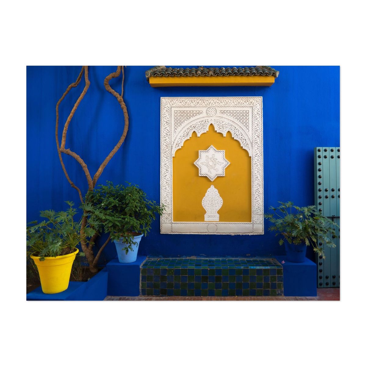 Majorelle Dreams – image 1 of 2