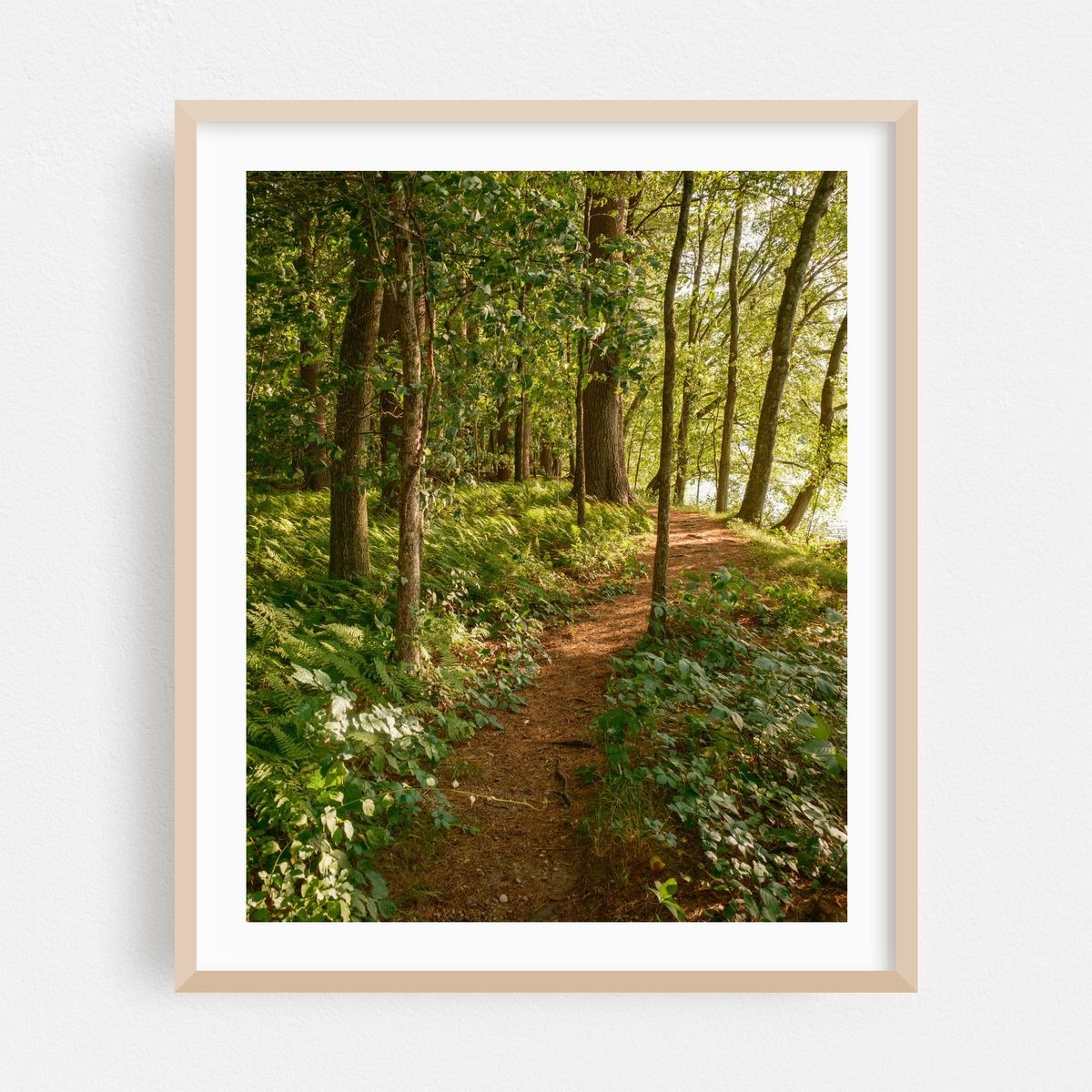 Bay Circuit Trail at Sudbury Reservoir 03 – image 1 of 12