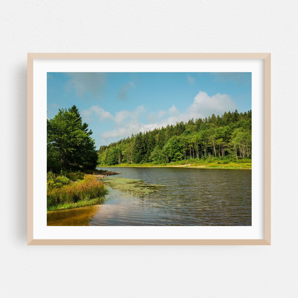 Pendleton Lake, Blackwater Falls 02 – image 1 of 3