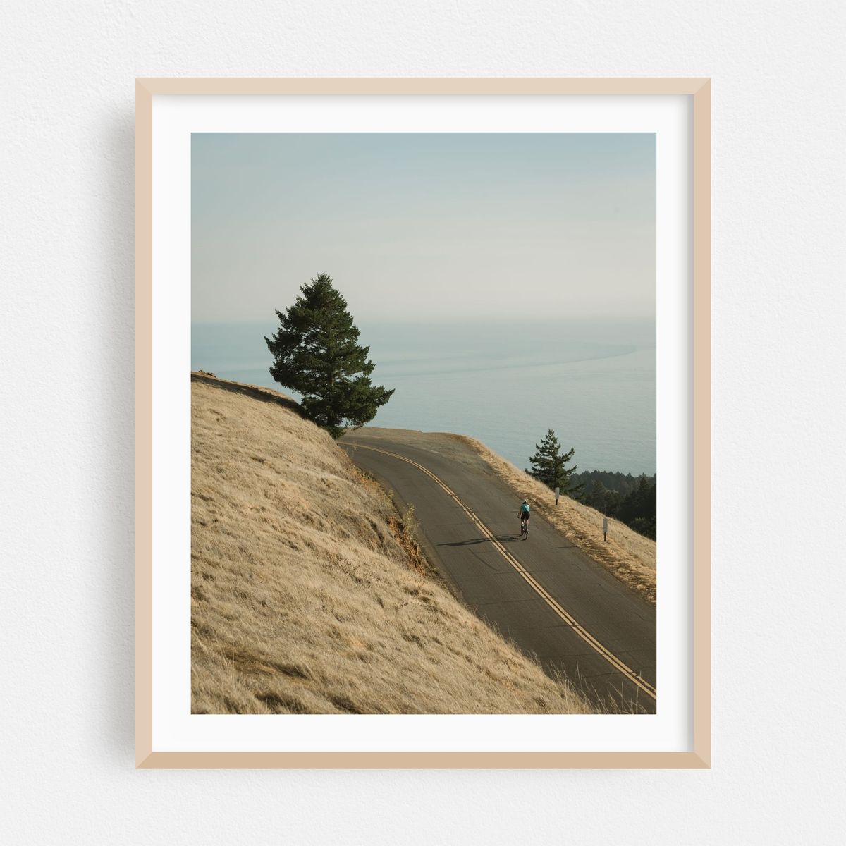 Mount Tamalpais Road 03 – image 1 of 12