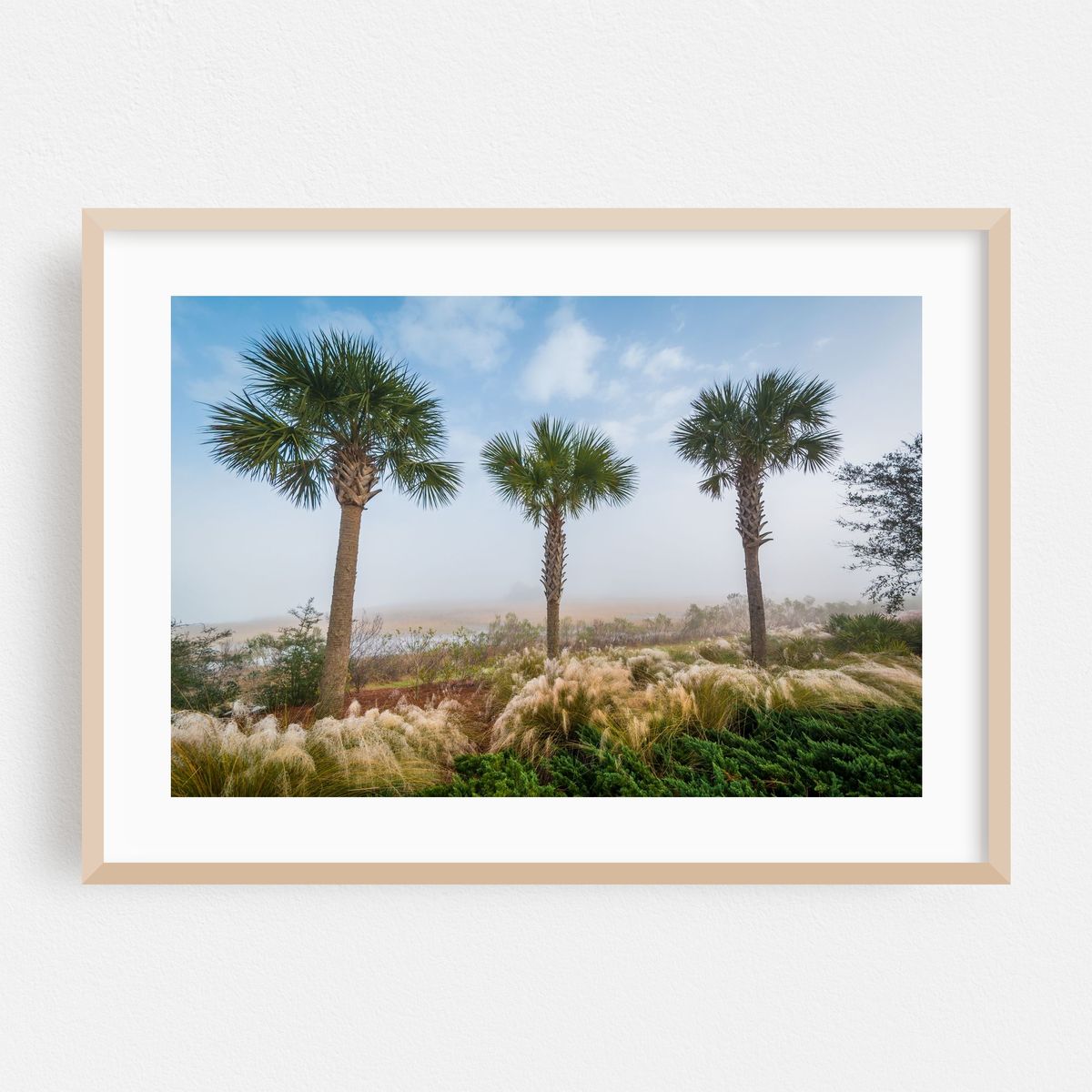 Cooper River Wetland, Charleston 01 – image 1 of 6