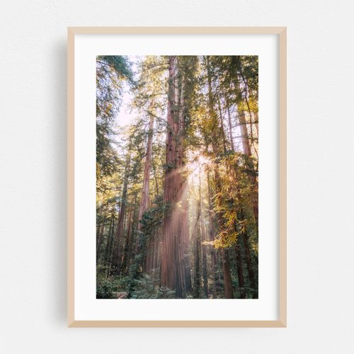 In the Pines (vertical)