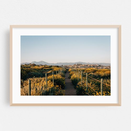 Hilltop Park Path 02