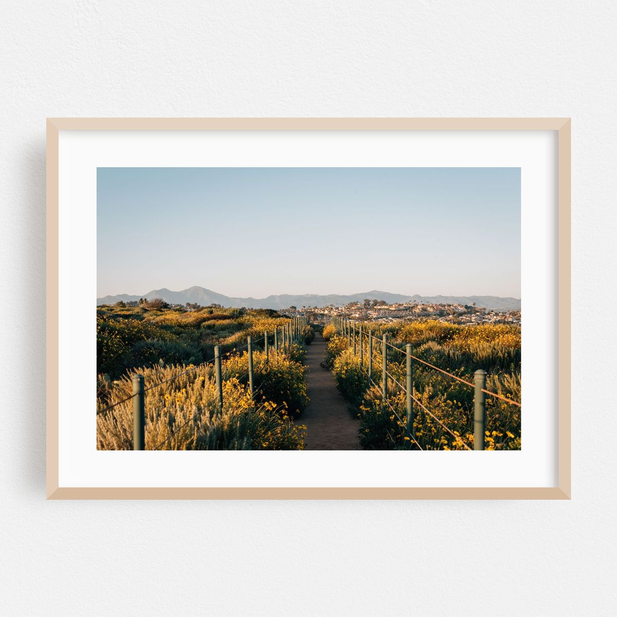 Hilltop Park Path 02 – image 1 of 6