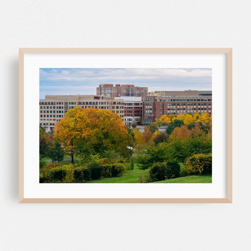 Fall Alexandria