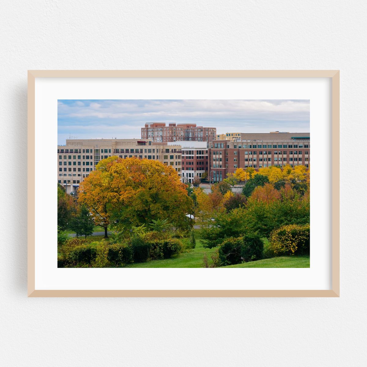 Fall Alexandria – image 1 of 6