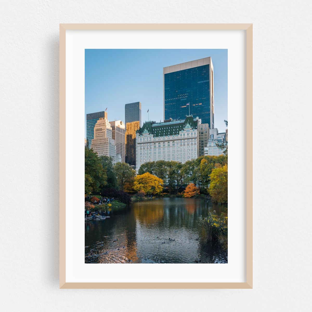 The Pond 02 – image 1 of 16