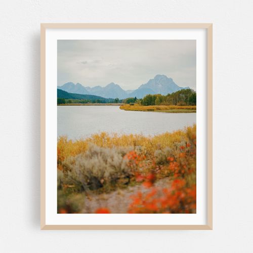 Autumn on Oxbow Bend