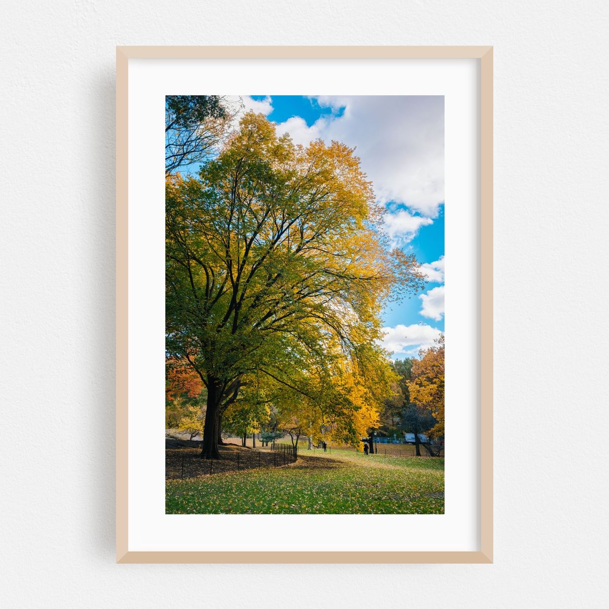 Central Park Autumn 04 – image 1 of 16