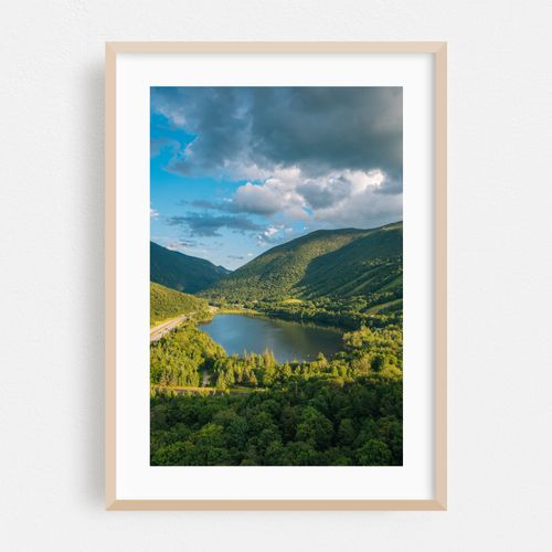 Artist's Bluff