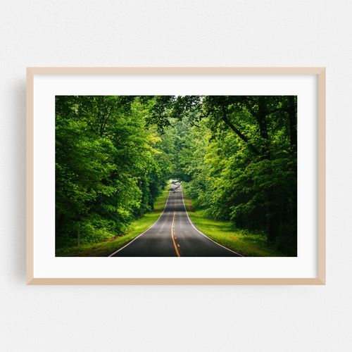 Skyline Drive 02
