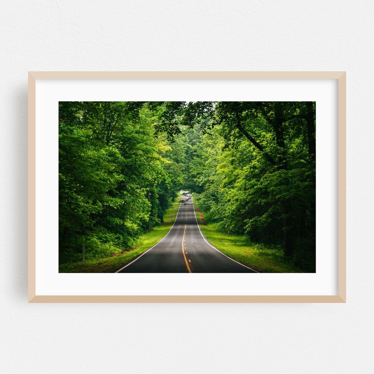 Skyline Drive 02 – image 1 of 6