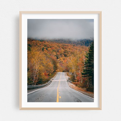 Route 26
