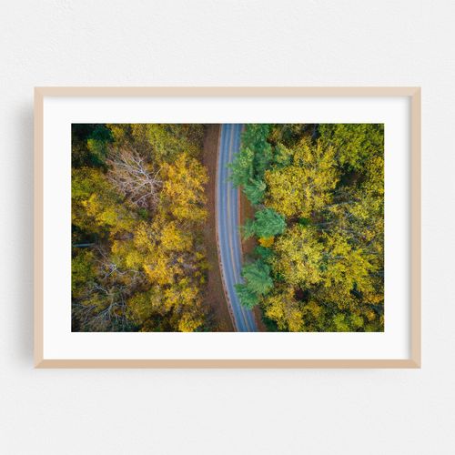 An Autumn Drive