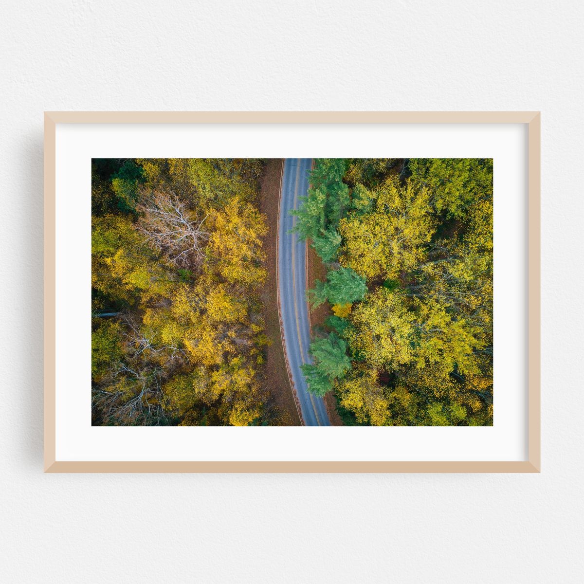 An Autumn Drive – image 1 of 6