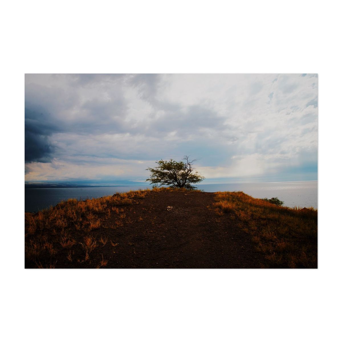 To the Point – image 1 of 2
