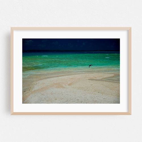 Serene Shores