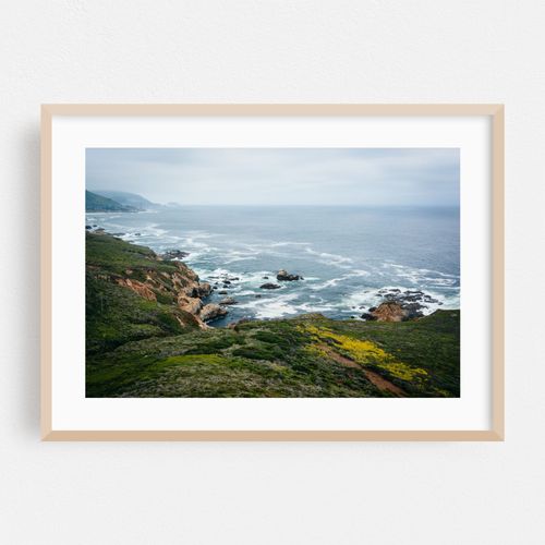 Garrapata Coastal 04